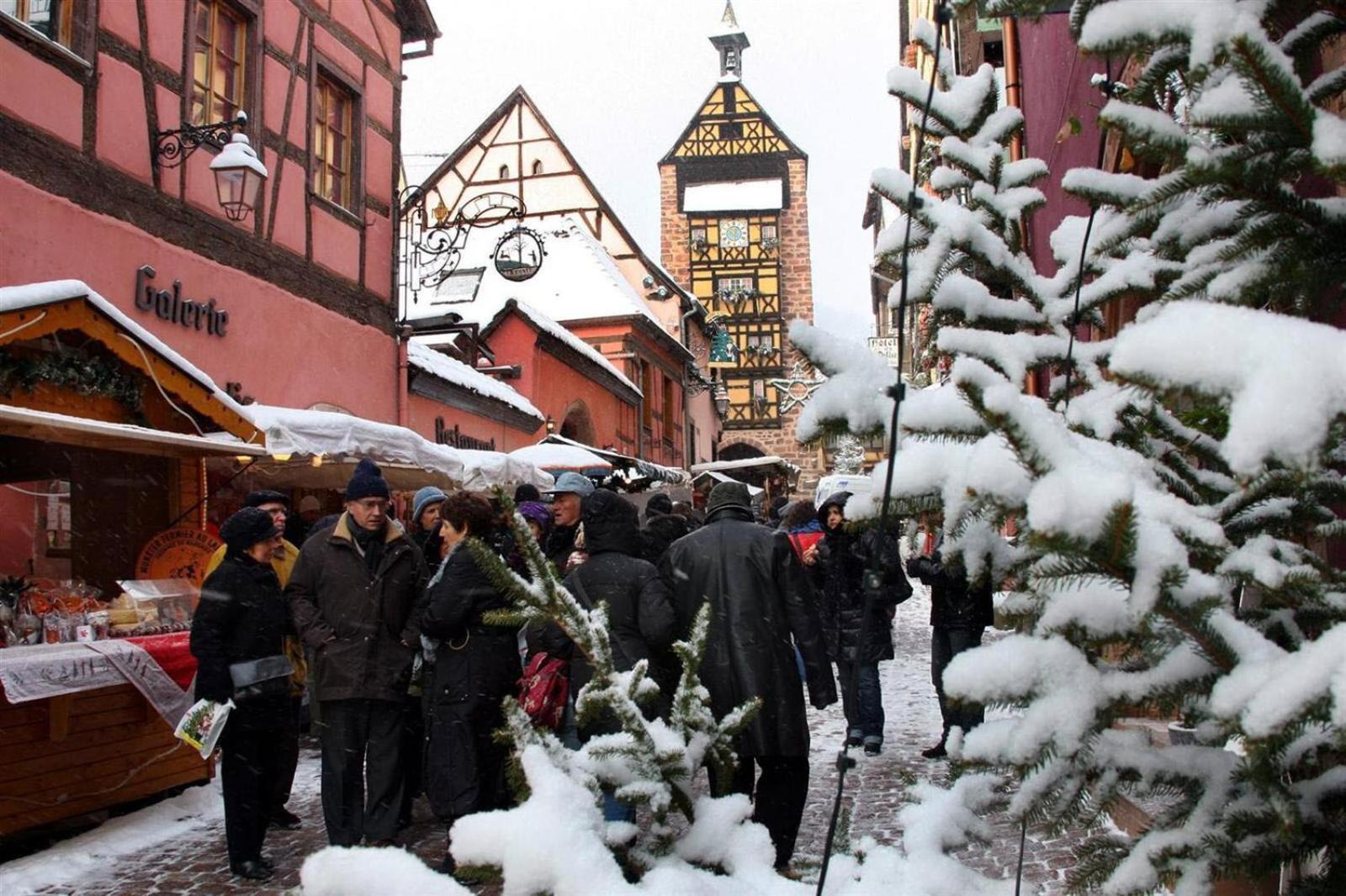 Gite Le Marronnier - Au Calme - Parking & Terrasse - Pres De Colmar Et Riquewihr - Route Des Vins Châtenois Zewnętrze zdjęcie
