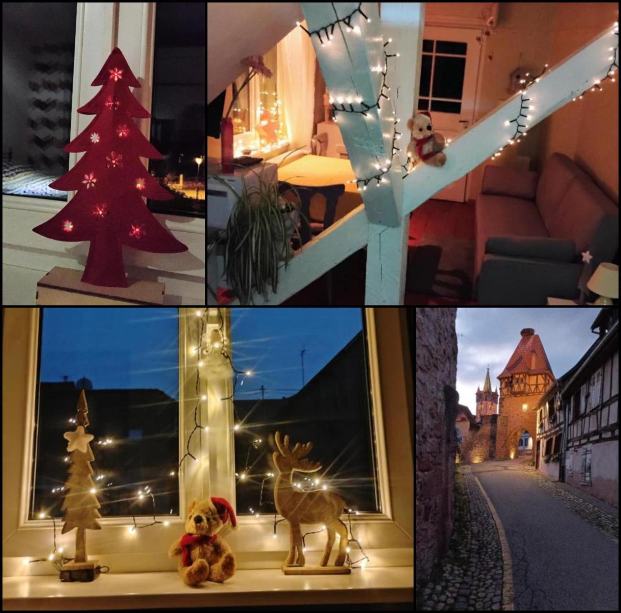 Gite Le Marronnier - Au Calme - Parking & Terrasse - Pres De Colmar Et Riquewihr - Route Des Vins Châtenois Zewnętrze zdjęcie