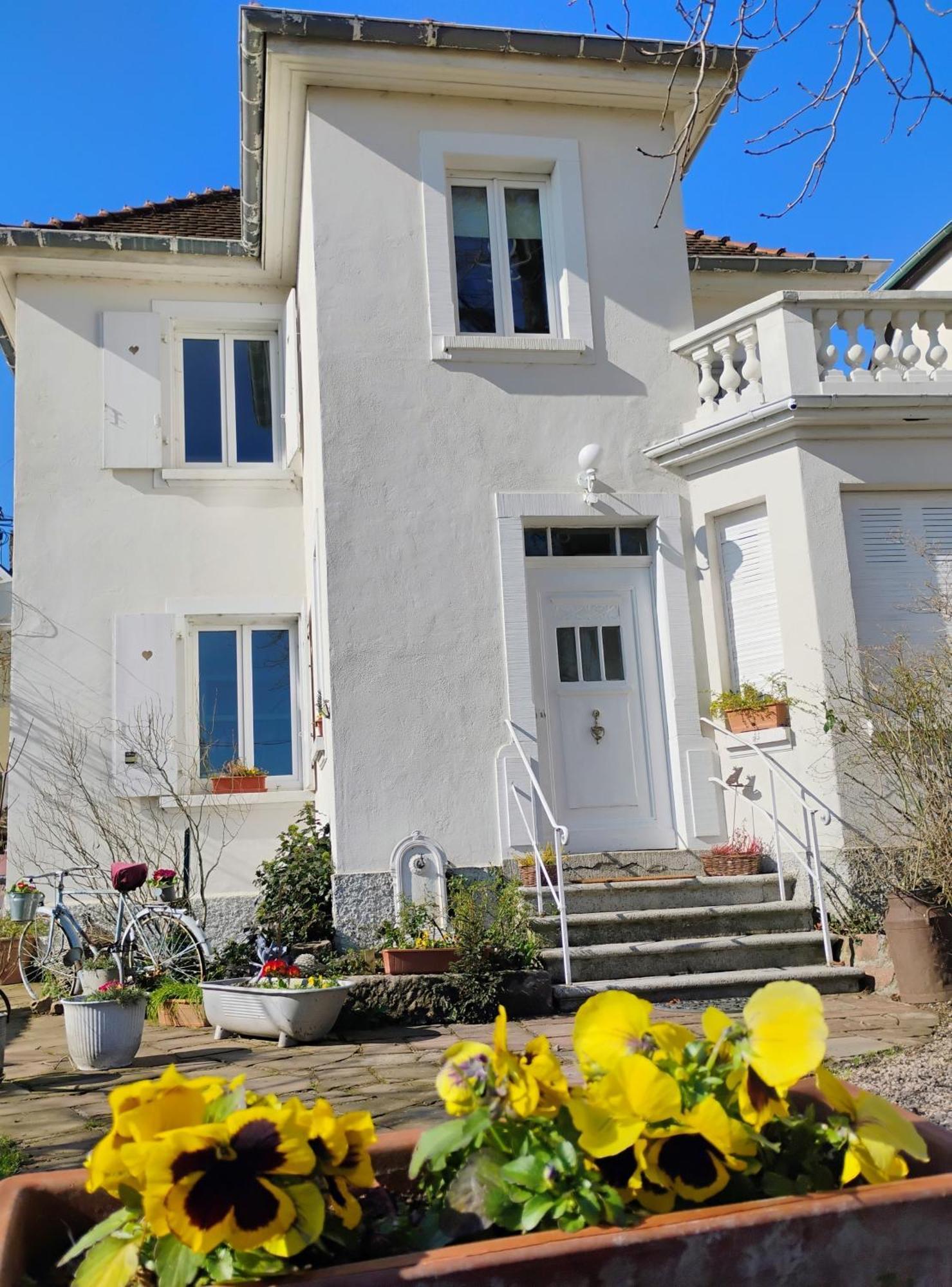 Gite Le Marronnier - Au Calme - Parking & Terrasse - Pres De Colmar Et Riquewihr - Route Des Vins Châtenois Zewnętrze zdjęcie