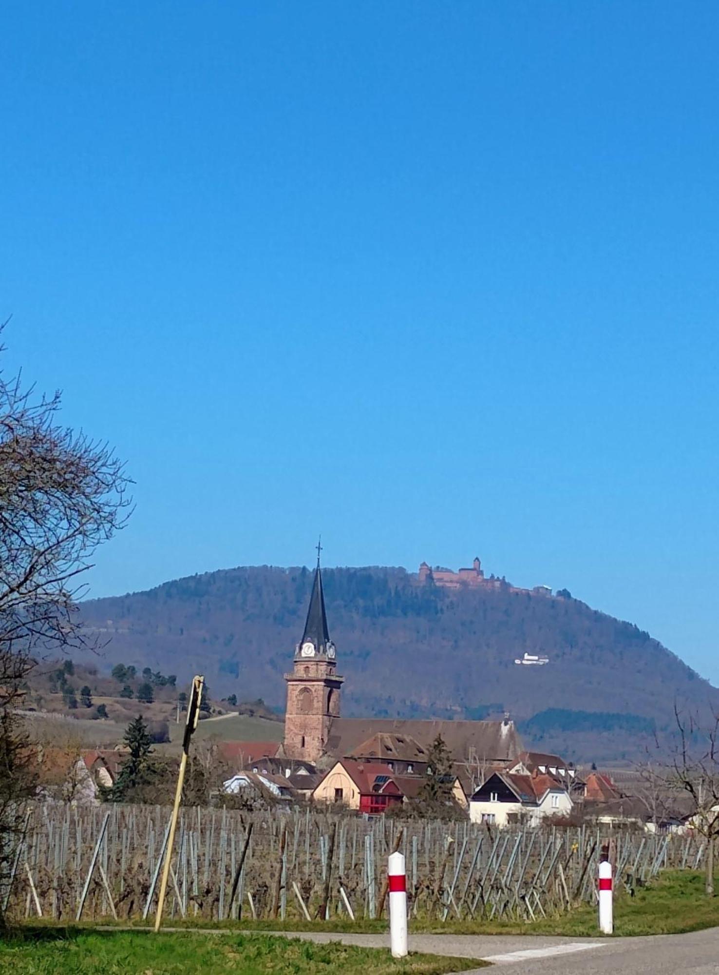 Gite Le Marronnier - Au Calme - Parking & Terrasse - Pres De Colmar Et Riquewihr - Route Des Vins Châtenois Zewnętrze zdjęcie