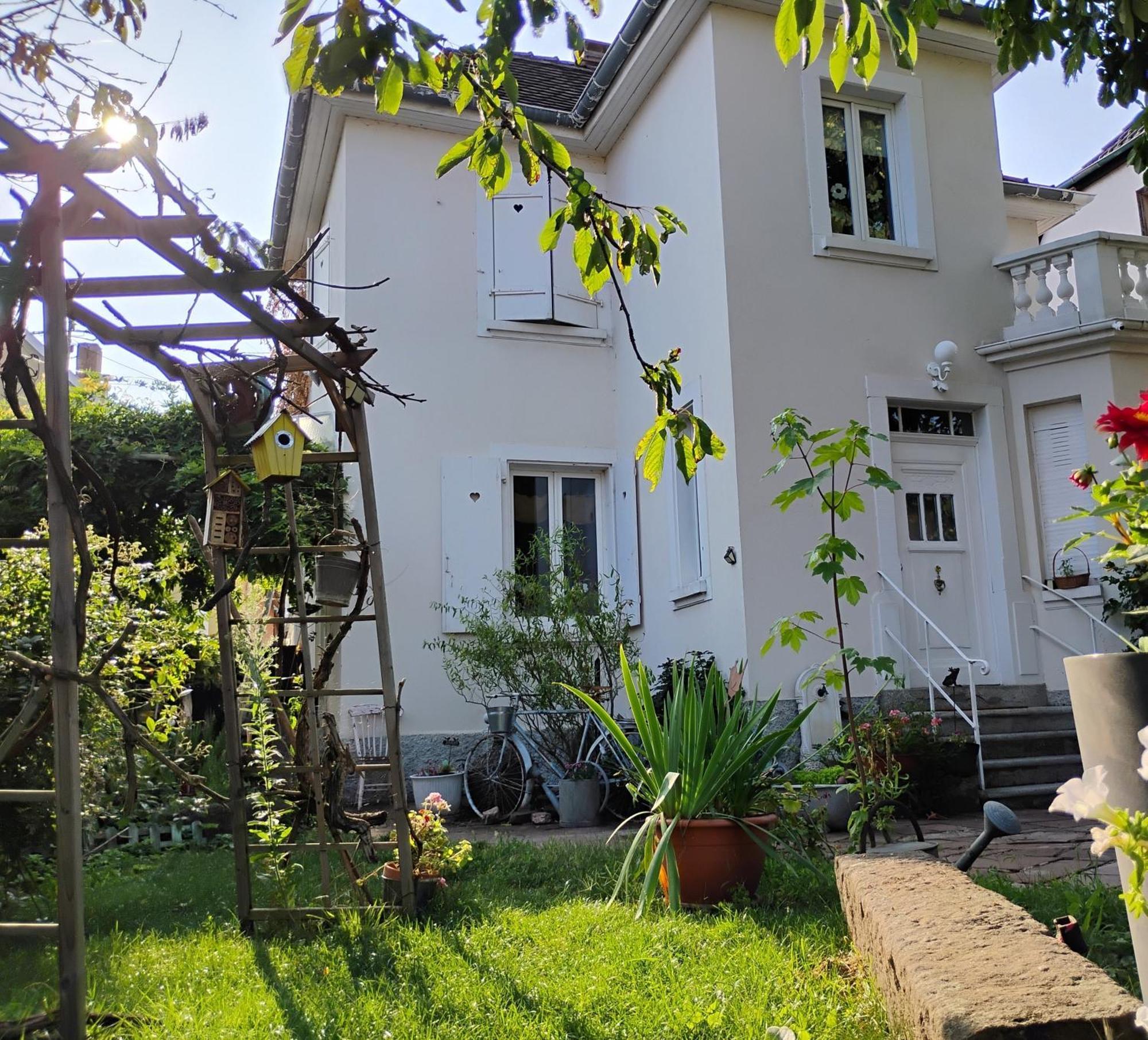 Gite Le Marronnier - Au Calme - Parking & Terrasse - Pres De Colmar Et Riquewihr - Route Des Vins Châtenois Zewnętrze zdjęcie