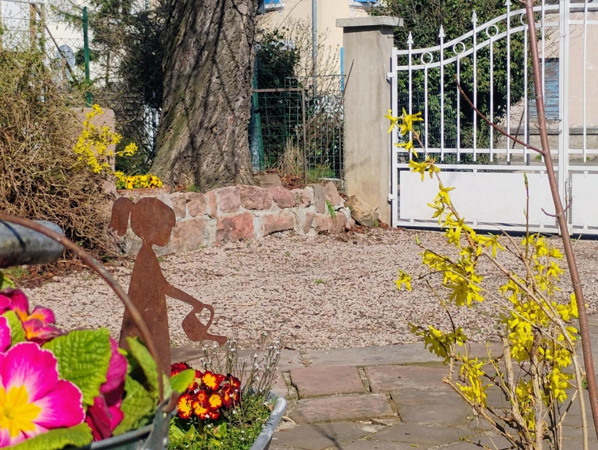 Gite Le Marronnier - Au Calme - Parking & Terrasse - Pres De Colmar Et Riquewihr - Route Des Vins Châtenois Zewnętrze zdjęcie