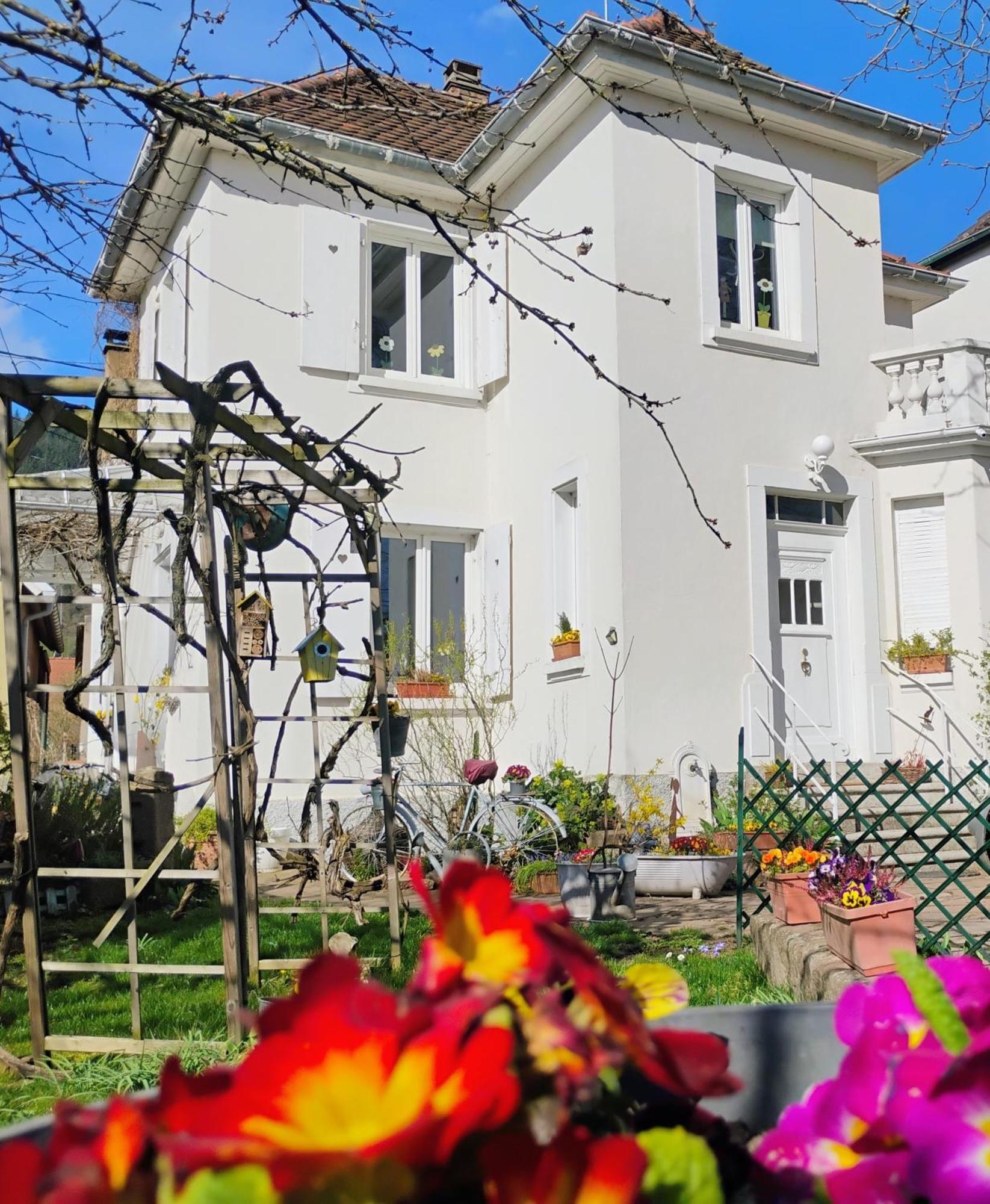 Gite Le Marronnier - Au Calme - Parking & Terrasse - Pres De Colmar Et Riquewihr - Route Des Vins Châtenois Zewnętrze zdjęcie
