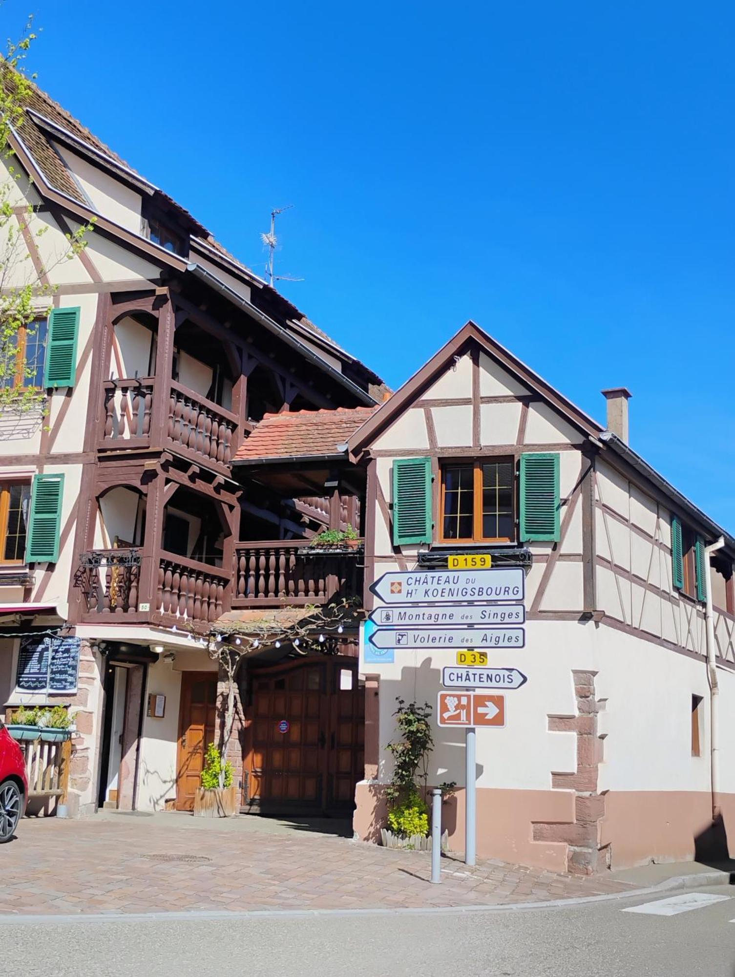 Gite Le Marronnier - Au Calme - Parking & Terrasse - Pres De Colmar Et Riquewihr - Route Des Vins Châtenois Zewnętrze zdjęcie