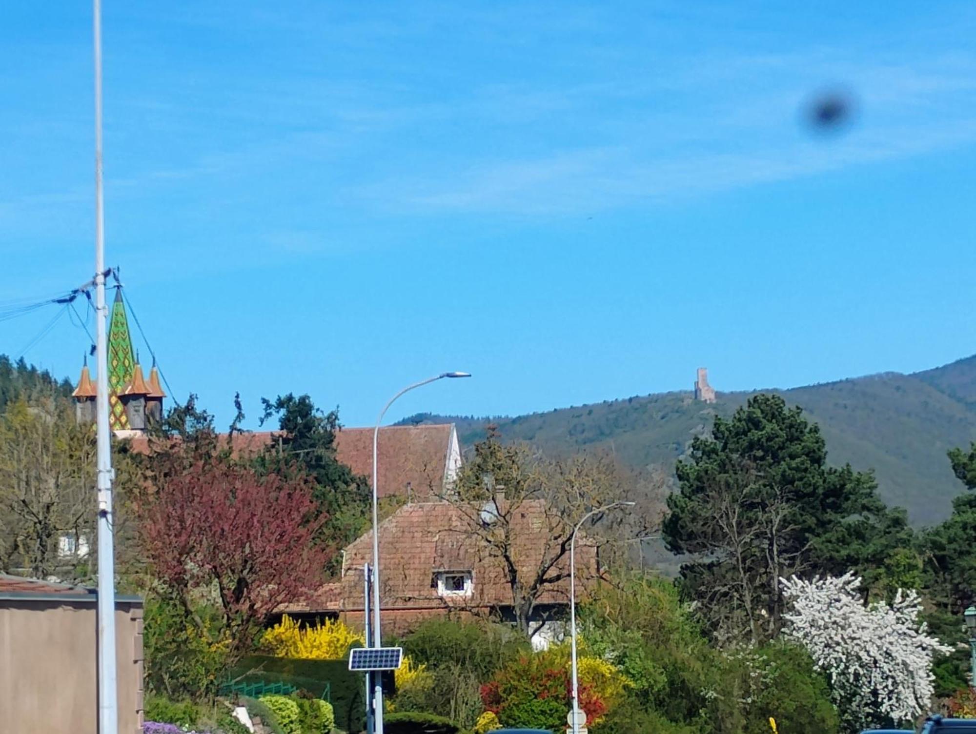 Gite Le Marronnier - Au Calme - Parking & Terrasse - Pres De Colmar Et Riquewihr - Route Des Vins Châtenois Zewnętrze zdjęcie