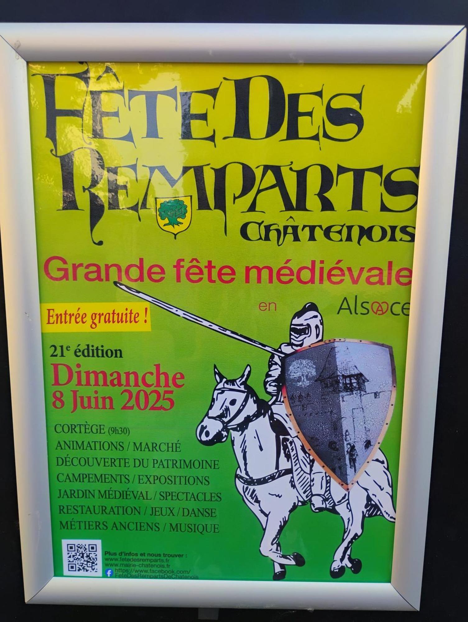 Gite Le Marronnier - Au Calme - Parking & Terrasse - Pres De Colmar Et Riquewihr - Route Des Vins Châtenois Zewnętrze zdjęcie