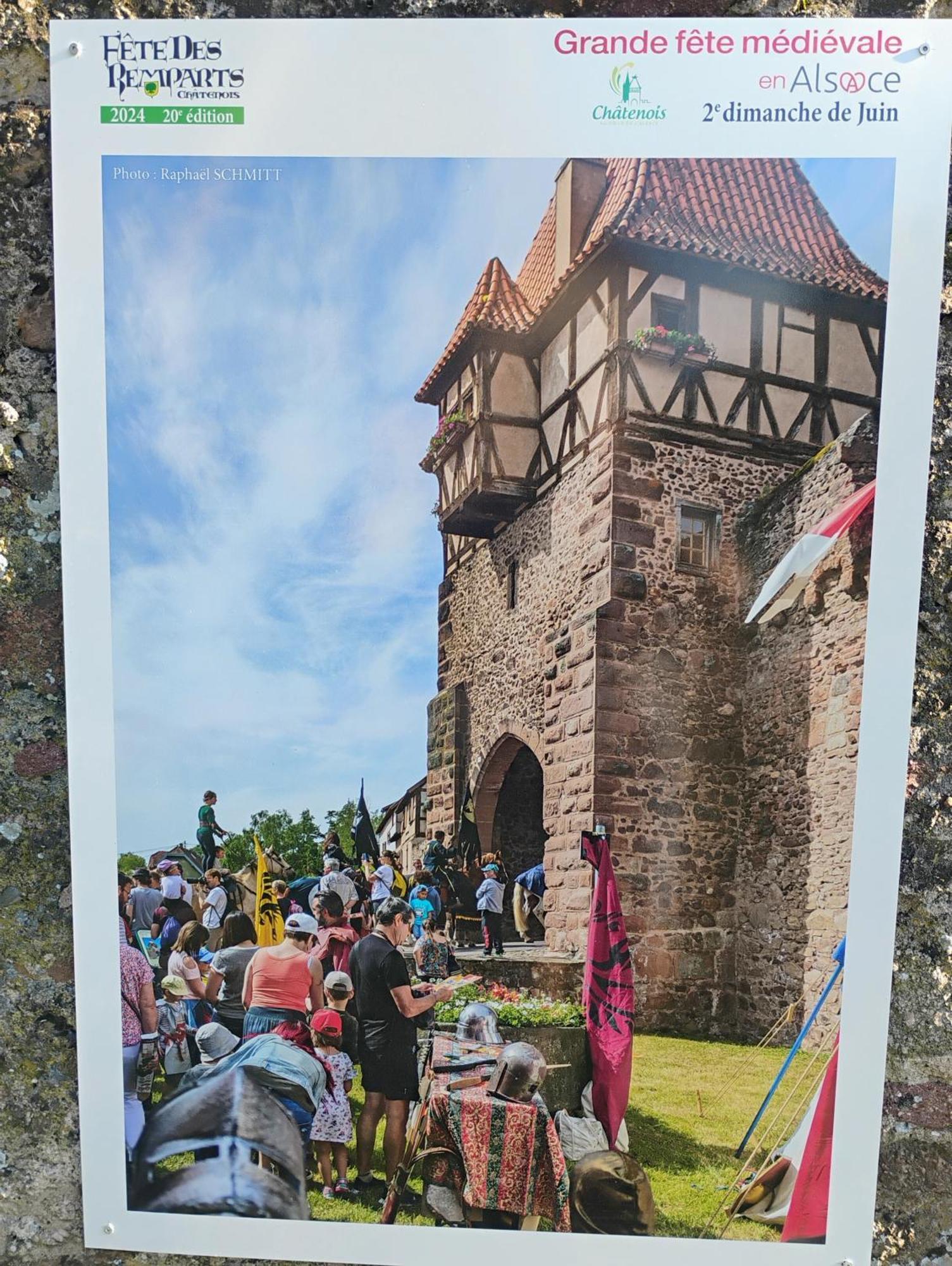 Gite Le Marronnier - Au Calme - Parking & Terrasse - Pres De Colmar Et Riquewihr - Route Des Vins Châtenois Zewnętrze zdjęcie